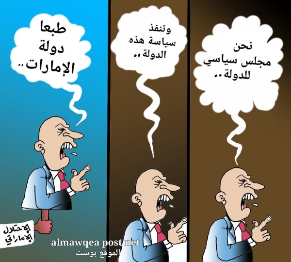 المجلس الانتقالي ومعنى الدولة