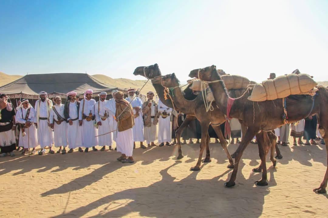 اختتام المهرجان السنوي للتراث وسباق الهجن والفروسية في شبوة