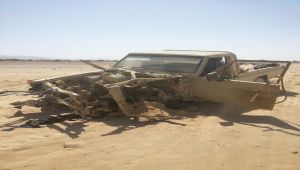 الجوف: قوات الجيش والمقاومة تهاجم مواقع المليشيا في المتون وتكبدها خسائر كبيرة بدعم من طيران التحالف