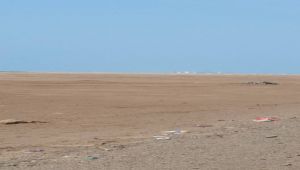 الجيش الوطني يسيطر على مناطق جديدة في محيط المخا ويواصل تقدمه صوب المدينة