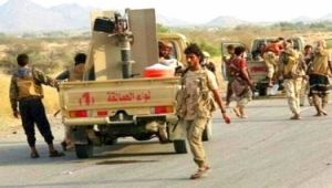 ألوية العمالقة تعلن السيطرة على عدد من المزارع في الجبلية والمغرس بالحديدة