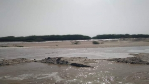 الأرصاد يتوقع هطول أمطار رعدية غزيرة خلال الساعات القادمة ويدعو لأخذ الحيطة والحذر