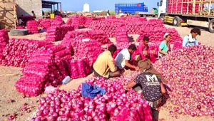 رويترز: السعودية تستأنف الصادرات الزراعية والسمكية من اليمن