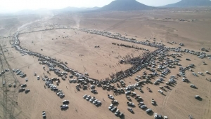 مأرب.. قبائل مذحج وحمير تؤكد جهوزيتها لإسناد الجيش في خوض معركة التحرير