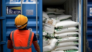 قفزة في أسعار السكر باليمن ومخاوف من نفاد المخزون