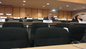 جنيف.. اليمن: دعم إيران للحوثيين وتدخلها في شؤون الدول تهديداً مباشرًا لأمن المنطقة