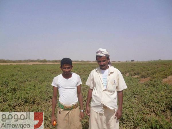 (الموقع بوست) يكشف تفاصيل أولى قواعد تهريب المخدرات وتدريب المقاتلين الحوثيين شمال اليمن (تقرير)