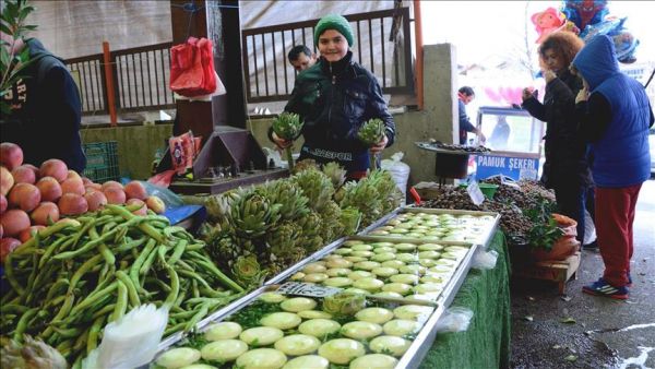 الخرشوف.. صديق الكبد والمرارة والكلى