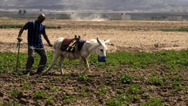 إعانة اليمنيين... 