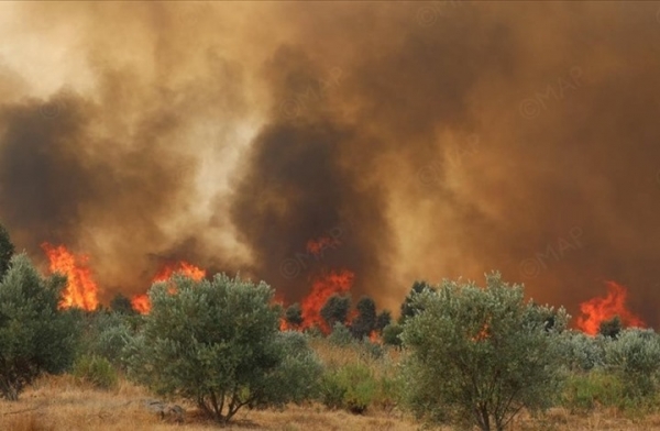 المغرب يواجه أكبر حرائق من نوعها والجزائر تتأهب تحسبا