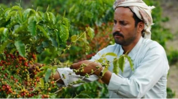 أشياء في الذاكرة.. مدينة الجبل والوادي أحمد الشلفي