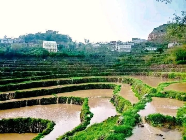 الأرصاد اليمني يتوقع أمطارا رعدية متفاوتة الشدة بعدد من المحافظات