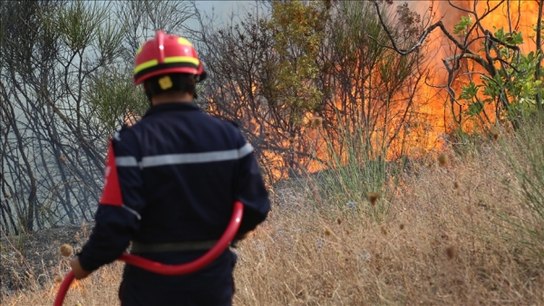الجزائر.. فرق الإطفاء تتعامل مع حريق غابات 