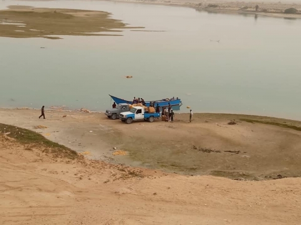 المهرة.. حملة أمنية تضبط 26 مهرباً وتُرحّل أكثر من 400 مهاجر غير شرعي