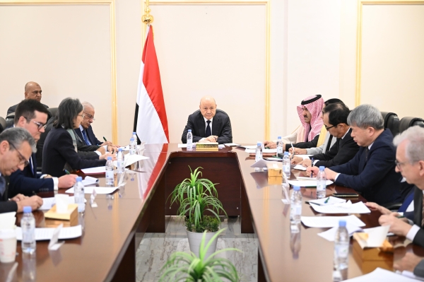 عن غباء النخب السياسية الحاكمة الذي أضاع البلاد