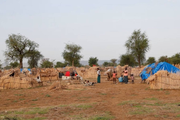 51 قتيلا جراء القتال في كردفان السودانية