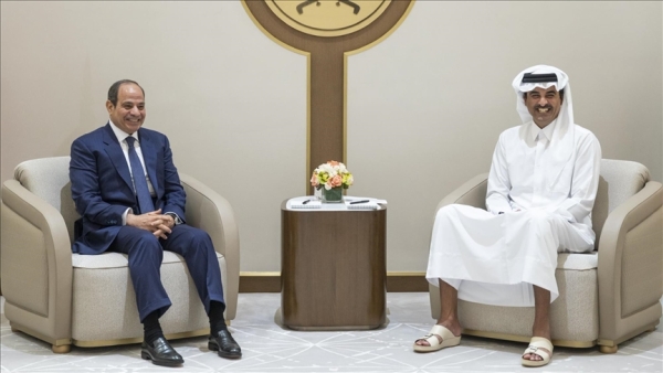 قطر ومصر تدعوان لتكثيف الجهود الإقليمية والدولية لخفض التصعيد