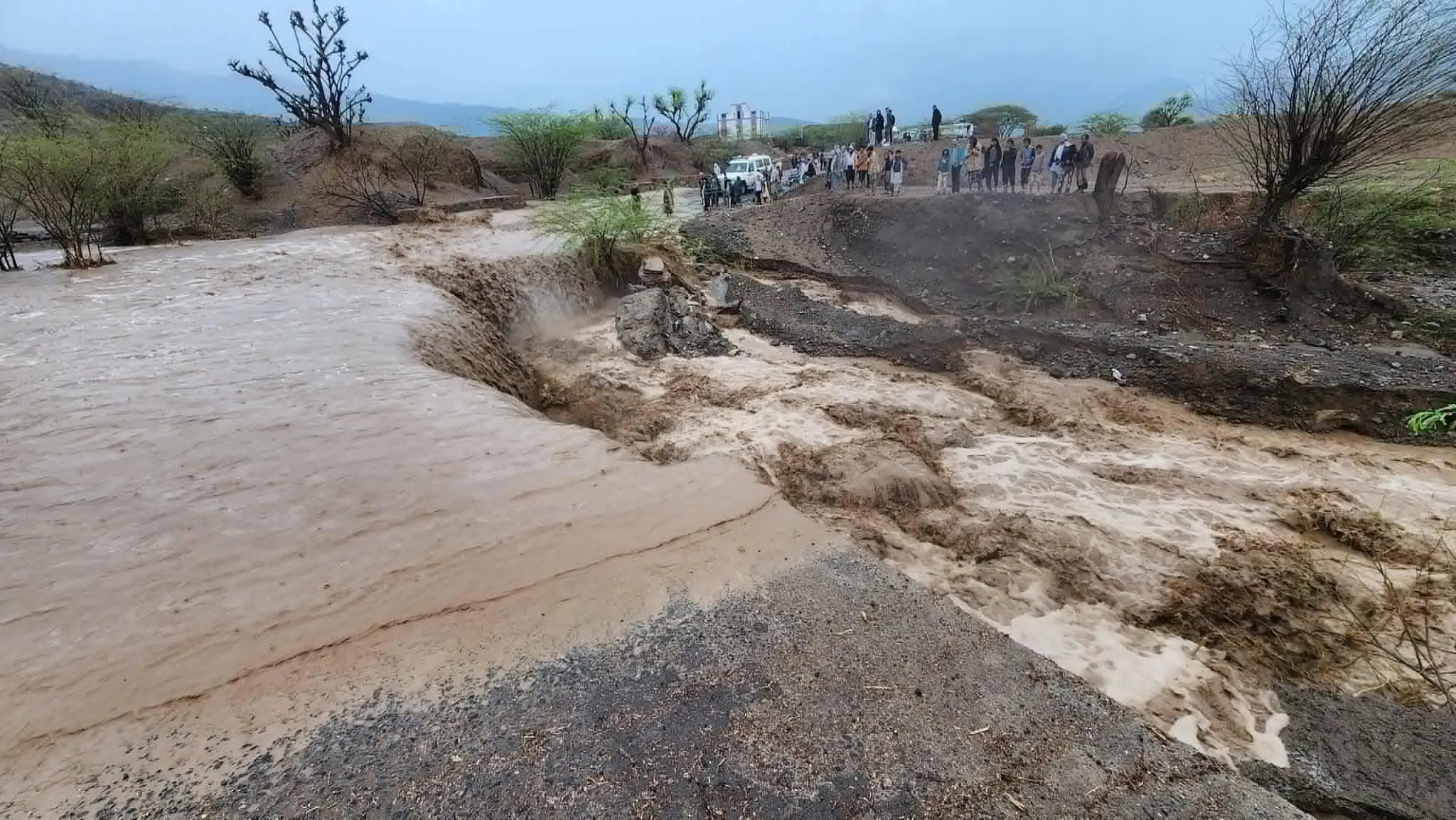 جراء السيول.. لجنة حكومية تكشف عن وفاة وإصابة 43 شخصا في تعز وتشريد 12 ألف أسرة
