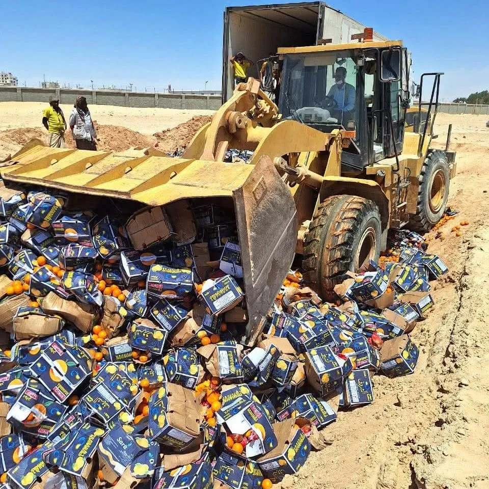 المهرة.. إتلاف 2864 كرتون برتقال متعفن في منفذ شحن