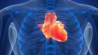8 عادات يومية تضر بصحة قلبك.. كيف تتجنبها؟